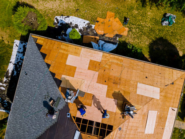 Best Roof Gutter Cleaning  in Shiner, TX